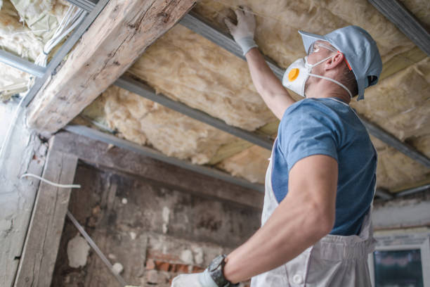 Types of Insulation We Offer in Mulberry, OH