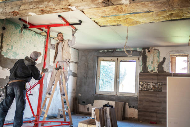 Best Geographic-Specific Insulation Services in Mulberry, OH